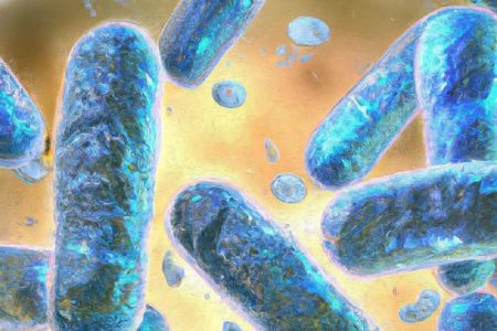 افزایش انتقال باکتری های مقاوم به دارو از جوامع انسانی به طبیعت